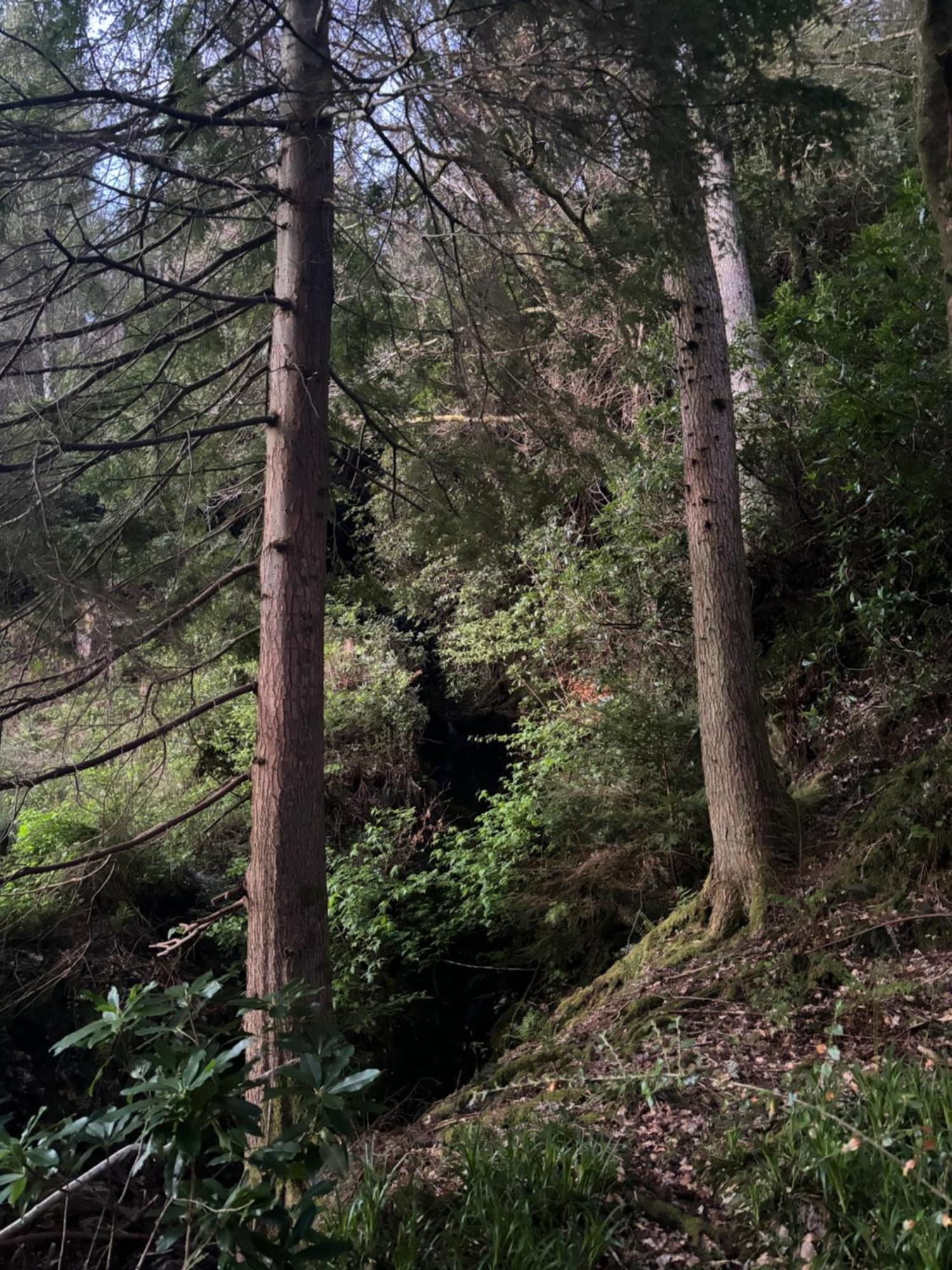 North Lodge Kilmun Kültér fotó