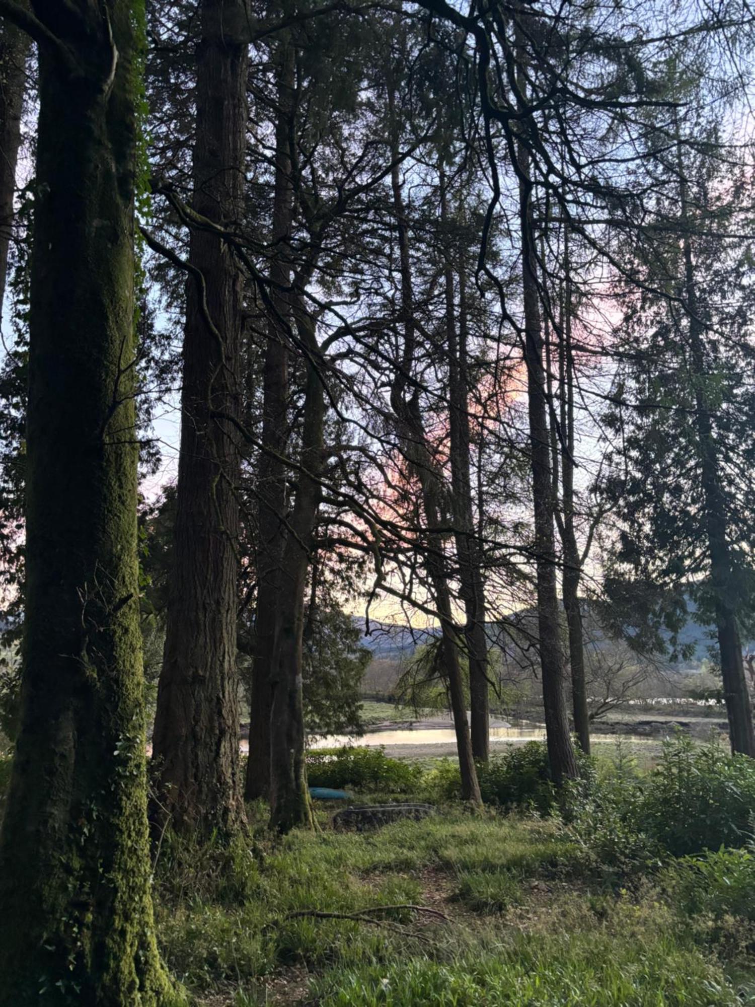 North Lodge Kilmun Kültér fotó